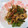 kawa♡'s cooksnap of when they made お弁当のおかず☆ピーマンと竹輪の炒め煮.