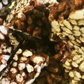 taiyu's cooksnap of when they made ライスパフとナッツのクランチチョコ.