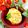 makichihua's cooksnap of when they made 超簡単美味＊アボカドの岩のりマヨチーズ焼.