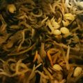 2girl2boyＳ's cooksnap of when they made 常備菜★切干大根.