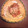 ☆こうちゃんママ☆'s cooksnap of when they made 我が家の完熟トマトソースのパスタ.