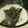 ﾆｺﾛﾋﾞﾝ's cooksnap of when they made だし昆布の救済・１.