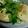絹ごしスプーン's cooksnap of when they made 献立にもう一品！しいたけの味噌マヨチーズ.
