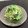 ブルージェル's cooksnap of when they made 我が家のもやしと小松菜のナムル☆.