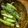 低カロ探検隊's cooksnap of when they made アスパラのおかか和え.