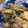 ｺｰｷﾞｰ姫's cooksnap of when they made 豚コマとカブの炒め煮♪.