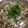 青空健太's cooksnap of when they made パパ自慢のパクチーしゃぶしゃぶ鍋.