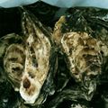 mimi1993's cooksnap of when they made フライパンで作る！超簡単！牡蠣の酒蒸し.