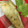 マリーS's cooksnap of when they made 白身魚の簡単で美味しい焼き方.