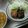 はーどらぶ。。's cooksnap of when they made 牛蒡ハンバーグ.