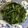 クックPCKCO5☆'s cooksnap of when they made ナムル！一番好きなほうれん草の食べ方♪.