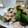 a-tom's cooksnap of when they made 豚とレタスのレモン塩炒め.