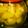 k486y2562's cooksnap of when they made ホームメイド果実酒：河内晩柑.