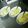 たんたん　's cooksnap of when they made 胃に優しい雑炊♩︎.