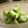 maruru-nn's cooksnap of when they made きゅうりの塩麹レモン漬け.