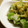 maruru-nn's cooksnap of when they made 簡単5分！オクラと大根おろし.