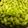 クック8YOF1H☆'s cooksnap of when they made ＊おつまみに＊枝豆のナムル＊.