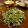 のりてぃｓｘ's cooksnap of when they made 胡桃味噌で簡単☆水菜白和え風サラダ.