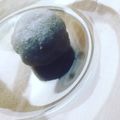 hicopo's cooksnap of when they made 在外者必見！餅米なくても餅作り！.