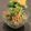 ぽっぽぺぺ's cooksnap of when they made 水菜のサラダ.