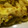 maruru-nn's cooksnap of when they made 【簡単】鮭のマヨチーズ焼き～レモン風味～.