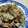 caramel-cookie's cooksnap of when they made ☆速攻♪みょうがと豚肉のごまマヨ炒め☆.