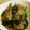 maruru-nn's cooksnap of when they made うちのレバニラ♬黄金のたれ♬.