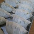 Snowhill's cooksnap of when they made チューボーですよ！　焼き餃子.