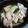 さなキチ's cooksnap of when they made つゆしゃぶで食べる〝豚ちりちり〟.