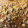 トラととら's cooksnap of when they made 絶賛★ルーを使わない簡単ドライカレー！.