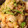 りゅう＆ゆう＆りょう's cooksnap of when they made 簡単！かつおつゆで☆白菜のお浸し.