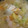 だいたいぶ's cooksnap of when they made 簡単☆生タラの野菜たっぷり中華風スープ.