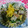 イチゴ、イチゴ。's cooksnap of when they made 白菜ときゅうりのゆかり和え☆宇都宮市保セ.