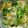 ○ちょび○'s cooksnap of when they made 小松菜ともやしのナムル.