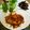 ☆みやっち♪'s cooksnap of when they made りんごバターで柔らかポークチャップ.