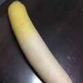 うちゃちゃ．天水's cooksnap of when they made 根菜を復活させる.