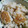 SO_Ckagami's cooksnap of when they made 柚子ときのこの炊き込みご飯ヽ(´▽｀)/.