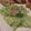 れのっち's cooksnap of when they made ブロッコリーの茎（ザーサイ風）.