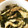 りこcandy's cooksnap of when they made 舞茸ダイエット 煮物編.