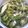 akilala's cooksnap of when they made ゴーヤと茗荷の常備菜.
