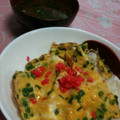 フルグラ子's cooksnap of when they made ランチに簡単！ 万能ネギの卵焼き丼！.