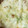 ぬこすき❤'s cooksnap of when they made ＊ネギとウインナーの味噌マヨチーズ焼き＊.