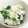 Yutanpo358's cooksnap of when they made 大根と梅の混ぜごはん。.