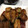 クックLYYTIX☆'s cooksnap of when they made オクラinちくわの豚肉巻き焼き.