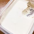 クックVM6SZN☆'s cooksnap of when they made kiri6個で☆お手軽レアチーズケーキ.