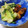 ☆Ruby☆'s cooksnap of when they made 牡蠣の照り焼き青梗菜炒め.