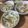 クックSDFJ48☆'s cooksnap of when they made 超簡単！かぶサラダ.