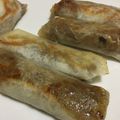 けんけん0801's cooksnap of when they made 豚ひき肉でモヤシたっぷり春巻き！.