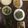友村さんのお嫁さん's cooksnap of when they made あっさり☆牛肉のレモン炒め.