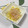 まさたかまま's cooksnap of when they made 塩ゆずＤＥ簡単白菜の浅漬け.
